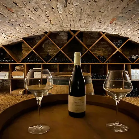 Hotel De La Paix, Beaune Beaune (Cote d'Or)